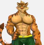 2017 5_fingers abs anthro artist_name barazoku big_pecs biped bottomwear brown_body brown_fur chest_tuft clothed clothing colored drakonika123 felid fingers fist front_view frown fur green_bottomwear green_clothing green_shorts half-length_portrait hand_on_hip humanoid_hands inner_ear_fluff looking_at_viewer low-angle_view male mammal markings muscular muscular_anthro muscular_arms muscular_male navel orange_body orange_fur pantherine pecs portrait shaded shorts simple_background solo standing striped_markings stripes tail text tiger topless topless_anthro topless_male tuft white_background yellow_eyes