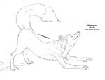 absurd_res ambiguous_gender arania canid canine claws clothing dave_(tcitw) dialogue dipstick_tail discarded_clothing english_text eyes_closed feral fox herm_(lore) hi_res mammal markings monochrome sketch solo stretching tail tail_markings text the_cabin_in_the_woods_(arania)
