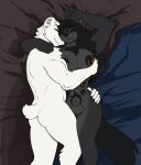 alyen_mewhitich animal_genitalia anthro balls bear black_body black_fur black_hair breasts canid canine canis duo feretta fur genitals gynomorph hair hi_res intersex male mammal multi_breast muscular naara nipple_piercing nipples nude on_bedding piercing polar_bear sheath sleeping sleeping_together ursine white_body white_fur wolf