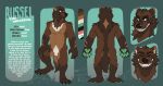 anthro arm_tuft bared_teeth black_nose brown_body brown_fur cheek_tuft crotch_tuft eyes_closed facial_tuft fangs featureless_crotch fingerpads front_view fur green_eyes green_pawpads grin gulonine hi_res male male_anthro mammal model_sheet mouth_closed mustelid musteline nude pawpads rear_view shoulder_tuft smile solo standing striped_arms teeth tuft wolverine yookie