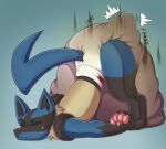 abdl anthro bodily_fluids diaper diaper_fetish dirty fan_character feces generation_4_pokemon genital_fluids hi_res lucario male male/male nintendo paws peeing pokemon pokemon_(species) pooping solo sweety_(artist) urine