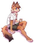 2023 anthro blue_eyes bottomwear brown_body brown_fur brown_hair canid chest_tuft clothing coffee_cup container cup digital_media_(artwork) feet fur green_bottomwear green_clothing green_shorts hair hi_res holding_coffee_cup holding_container holding_cup holding_object looking_at_viewer male mammal miri open_mouth shirt shorts simple_background sitting smile solo tail topwear tuft white_background white_clothing white_shirt white_topwear