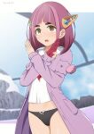  1girl arched_bangs artist_name black_panties blue_sky blunt_ends blurry blurry_background bow bow_panties brown_eyes cardigan collared_shirt cowboy_shot crotch_seam day depth_of_field eyelashes gloves hair_ornament highres hill it&#039;s_just_not_right! lacey_(pokemon) light_blush long_hair long_sleeves neckerchief no_pants open_cardigan open_clothes open_mouth outdoors outside_border panties partially_fingerless_gloves picot_trim_panties pillarboxed pink_cardigan pink_hair pocket pokemon pokemon_sv red_gloves red_neckerchief shirt single_glove sirokohi sky snow solo standing teeth thick_eyebrows underwear upper_teeth_only variant_set white_shirt x_arms 