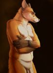 anthro balls canid canine clock crossed_arms eyes_closed eyewear eyewear_only facing_aside foreskin fox fur genitals glasses glasses_only hi_res male mammal navel nipples nude penis pink_nipples pink_nose rayfkm red_body red_fur solo watch wearing_glasses whiskers white_body white_fur
