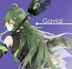  1girl arknights black_dress character_name crocodilian_tail detached_sleeves dress gavial_(arknights) green_hair highres holding long_hair pointy_ears purple_background simple_background solo suprii tail white_background yellow_eyes 