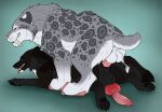  anal anal_penetration black_body black_fur canid canine duo echo_(wolffylegend) fangs felid feral feral_on_feral feral_penetrated feral_penetrating feral_penetrating_feral from_behind_position fur green_eyes grey_body grey_fur hi_res killthe_demon lying male male/male male_penetrated male_penetrating male_penetrating_male mammal narrowed_eyes on_front open_mouth penetration penile penile_penetration penis_in_ass sex side_view spotted_back spotted_legs teeth tongue tongue_out white_body white_fur yellow_eyes 