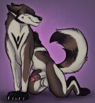  animal_genitalia balls brown_body brown_fur brown_tail canid canine feral fur genitals gradient_penis hi_res killthe_demon looking_at_viewer male male_feral mammal penis penis_tip purple_eyes red_penis sheath simple_background smile solo tail vero_(killthe_demon) white_balls white_body white_fur white_sheath white_tail 