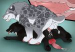  anal anal_orgasm anal_penetration balls black_body black_fur bodily_fluids canid canine cum cum_in_ass cum_inside cum_on_balls cum_on_ground cum_on_perineum cutaway duo echo_(wolffylegend) ejaculation eyes_closed felid feral feral_on_feral feral_penetrated feral_penetrating feral_penetrating_feral from_behind_position fur genital_fluids genitals grey_body grey_fur hands-free hi_res internal killthe_demon lying male male/male male_penetrated male_penetrating male_penetrating_male mammal on_front orgasm penetration penile penile_penetration penile_spines penis penis_in_ass perineum sex side_view spotted_back spotted_legs white_body white_fur 