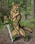  anthro balls biceps black_nose brown_fur canine chest_tuft claws ear_piercing flaccid forest fur green_eyes hunk male mammal moonchild penis piercing pose sheath solo sword toe_claws tree tuft warrior weapon wolf 