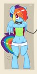 anthro anthrofied blue_fur clothing collar equine female friendship_is_magic fur hair horse leash looking_at_viewer mammal miketheuser multi-colored_hair my_little_pony navel pegasus pony purple_eyes rainbow_dash_(mlp) rainbow_hair solo wings 