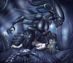  alien alien_(franchise) big_breasts breasts choking cowgirl cum cum_in_pussy cum_inside domination drooling equine female female_domination inert-ren interspecies male multiple_arms penetration pussy saliva sex size_difference vaginal vaginal_penetration xenomorph zebra 