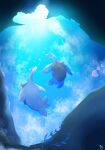  animal_focus commentary_request fish highres lapras luvdisc natu_a0z0ra no_humans ocean outdoors pokemon pokemon_(creature) pokemon_focus shell underwater water 