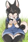 anthro bangs black_body black_fur black_hair canid canine canis clothing denim denim_clothing domestic_dog eating eyes_closed female food fur grass hair hi_res holding_food holding_object mammal osakanasankan overalls plant shiba_inu sitting solo spitz sushi tail thick_thighs tongue tongue_out