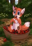  ambiguous_gender canine chest_tuft cub cute feral food forest fox fur mammal outside rukifox solo strawberry tree tuft young 
