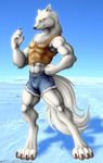  abs anthro arctic_fox biceps black_nose canine claws clothing flexing fluffy_tail fox fur geminisaint grey_fur grin looking_at_viewer male mammal muscles pawpads paws pecs pose shirt shorts smile snow solo standing tank_top toe_claws yellow_eyes 