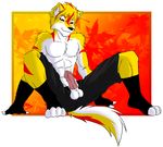  abs anthro balls biceps black_nose body_markings boxers canine chest_tuft circumcised clothing erection fur grin humanoid_penis looking_at_viewer male mammal markings muscles pecs penis pose presenting red_eyes red_fur sapphwolf_(artist) sheath shorts sitting smile socks solo stripes topless tuft underwear white_fur wolf yellow_fur 
