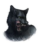  anthro canine fangs green_eyes male mammal open_mouth plain_background portrait solo tongue tongue_out woari wolf 