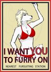  bikini canine female mammal poster propaganda solo swimsuit wearethew wolf 