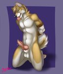  anthro arms_behind_back balls blue_eyes bound canine erection flynx-flink kneeling male mammal pawpads penis rope solo tongue tongue_out 