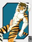  balls erection feline male mammal muscles penis solo tiger tigergear 