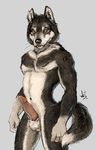  anthro balls canine erection male mammal penis solo wolf wolfinsheeps 