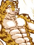  abs anthro biceps body_markings chest_tuft feline fur istani looking_at_viewer male mammal markings muscles nipples nude pecs pink_nose pose solo stripes tiger toned topless tuft 