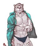  abs anthro biceps big_muscles black_fur bulge chest_tuft clothing feline fur green_eyes grin hoodie istani jacket male mammal muscles open_shirt pecs pink_nose plain_background pose shirt smile solo speedo standing swimsuit tiger toned tuft white_background white_fur white_tiger 