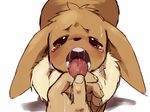  brown_fur crying dagasi eevee fur human looking_at_viewer mammal nintendo open_mouth plain_background pok&#233;mon pok&eacute;mon solo tears tongue tongue_out video_games white_background 