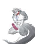  anthro balls biceps big_muscles big_penis black_nose blush bound canine chest_tuft collar erection fangs fur grey_eyes grey_fur grey_hair hair humanoid_penis kneeling male mammal muscles nipples nude pecs penis plain_background pose presenting pubes sheath simatukasa_(pixiv) sketch solo teeth tuft unknown_artist vein white_background white_fur wolf 