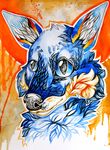  blue_eyes blue_fur canine clara_(artist) feral fox fur mammal orange_background plain_background solo 
