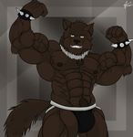  abs amber_eyes anthro biceps big_muscles black_nipples black_nose bracelet brown_fur brown_hair bulge canine chest_tuft clothing fangs flexing fur grin hair hunk jewelry jockstrap looking_at_viewer male mammal muscles necklace nipples pecs penis plain_background pose pubes saixyuniz-xynz smile solo standing teeth toned topless tuft underwear vein were werewolf wolf worgewolf yellow_eyes 