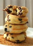  black_nose canine chocolate dog doge dogenut doughnut food humor hybrid lol_comments looking_at_viewer mammal meme photoshop shiba_inu shibe solo source_request unknown_artist what what_has_science_done 