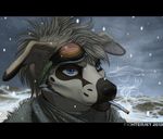 blue_eyes canine cigarette clothing cloud clouds eyewear fighterjet floppy_ears fur_trim goggles hybrid male mammal outside post_apocalyptic smoke smoking snow snowing solo winter 