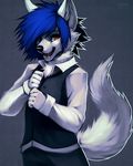  ambiguous_gender anthro blue_hair canine falvie fluffy_tail hair looking_at_viewer mammal orange_eyes solo waiter wolf 