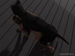  3d bestiality canine cgi dog female feral human human_on_feral interspecies male mammal rawdarkness sex straight 