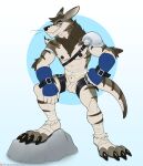 4_toes 5_fingers abs animal_genitalia ankle_wraps anthro areola arm_tuft armor artist_name balls bandai_namco biceps big_claws big_feet biped black_claws black_finger_claws black_nose black_toe_claws blue_clothing blue_eyes blue_gloves blue_handwear brown_areola brown_hair brown_nipples brown_stripes circle_background claws closed_smile clothing countershade_arms countershade_face countershade_fur countershade_legs countershade_tail countershade_torso countershading digimon digimon_(species) digital_drawing_(artwork) digital_media_(artwork) dipstick_ears ear_markings elbow_tuft eyebrows fangs feet finger_claws fingerless_gloves fingers fist flat_colors foot_wraps front_view full-length_portrait fully_sheathed fur genitals gloves gradient_background hair handwear hi_res humanoid_hands hybrid leg_belt long_ears looking_at_viewer male male_anthro mammal markings mostly_nude_anthro mostly_nude_male mouth_closed multicolored_body multicolored_ears multicolored_fur muscular muscular_anthro muscular_male mustelid neck_tuft nipples otter patreon patreon_logo patreon_username pauldron pawpads pecs plantigrade portrait rock sheath simple_background smile smiling_at_viewer solo spelunker_sal standing striped_body striped_fur striped_markings striped_tail stripes tail tail_markings teeth text thigh_belt three-quarter_view tiberius_thicktail toeless_(marking) toes tuft weregarurumon whiskers white_body white_countershading white_fur wraps wrist_belt