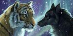 ambiguous_feral ambiguous_gender aurora_(phenomenon) black_body black_fur black_nose blue_eyes canid canine canis duo felid feral fur glistening glistening_eyes grey_body grey_fur heatherwolf mammal mouth_closed pantherine pink_nose side_view snow snowing striped_body striped_fur striped_neck stripes tiger whiskers white_body white_fur wolf yellow_body yellow_eyes yellow_fur