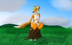  breasts canine female fox grass jayp mammal outside solo stump tree_stump 