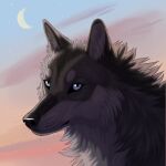 ambiguous_feral ambiguous_gender black_body black_fur black_nose blue_eyes blue_sky canid canine canis cheek_tuft facial_tuft feral fur grey_body grey_fur heatherwolf looking_at_viewer mammal moon mouth_closed neck_tuft orange_eyes outside sky solo star tuft whiskers wolf