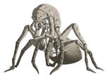  ambiguous_gender arachnid arthropod daisuke multi_limb multiple_eyes multiple_limbs solo spider 