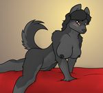  all_fours anthro areola bed big_breasts black_fur black_hair blush breasts brown_eyes canine dog female fur grey_fur hair husky looking_at_viewer lordbiscuits mammal simple_background solo 