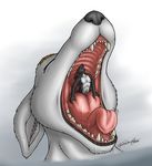  body_in_mouth canine forceswerwolf fox hybrid imminent_vore macro male mammal maw_shot micro mouth_shot penis skunkhase soft_vore swiftayama tongue tongue_fucking vorarephilia vore 