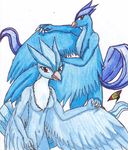  articuno avian bird blue_feathers duo female legendary_pok&#233;mon legendary_pokemon male nintendo pok&#233;mon pok&eacute;mon red_eyes video_games 