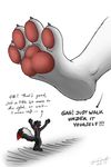  duo forceswerwolf macro micro paws size_difference skunkhase stomping swiftayama 