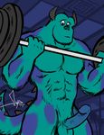  abs anthro balls barbell bgn biceps big_balls big_muscles big_penis blue_eyes blue_fur blue_penis body_markings disney erection fur gym horn humanoid_penis male markings monster monsters_inc muscles nude pecs penis pixar pose presenting purple_fur sheath solo standing sulley weightlifting weights 