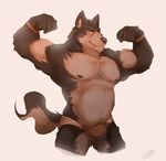  biceps brown_fur bulge canine chubby clothed clothing flexing fur grin looking_at_viewer male mammal musclegut muscles nipples pecs plain_background pose skimpy smile solo speedo swimsuit topless underwear vetrowolf white_background wolf 