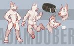  anthro back_view balls bipedal blue_eyes breath butt canine circumcised clenched_teeth collar digital_painting_(art) doberman dog flaccid flying_sweatdrops front_view full-length_portrait fur grey_background hands_on_hips happy headshot_portrait humanoid_penis jumping male mammal midair model_sheet multiple_angles multiple_poses muscles nude penis plain_background portrait redic-nomad side_view snort solo standing surprise teeth text_background three-quarter_view white_fur worried 