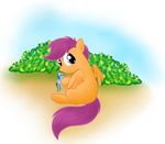  2011 blue_body bush cub equine female feral friendship_is_magic hair horse multi-colored_hair my_little_pony orange_feathers orange_fur pegasus plushie pony purple_eyes purple_hair rainbow_dash_(mlp) rainbow_hair scootaloo_(mlp) simple_background smitty_g solo wings young 