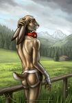  aaron amber_eyes anthro back back_turned bandage brown_fur butt cabin claws clothed clothing cloud detailed fence flower forest fur grass hand_behind_head headphones imiak lagomorph landscape long_ears male mammal meadow mountain nude rabbit shiny skimpy sky solo teeth thong topless tree walking 