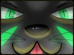  face fennec fox green_eyes green_markings izzy223 mammal markings slit_pupils stripes teal vix 
